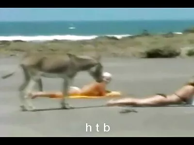 ਸੁੰਦਰ brunette blowjobs, deepthroat ਅਤੇ cumshot ਸੰਕਲਨ ਮੇਰੇ ਦੋਸਤ, ਆਨੰਦ ਮਾਣੋ